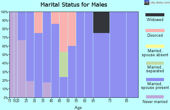 Zip code 83320 marital status for males