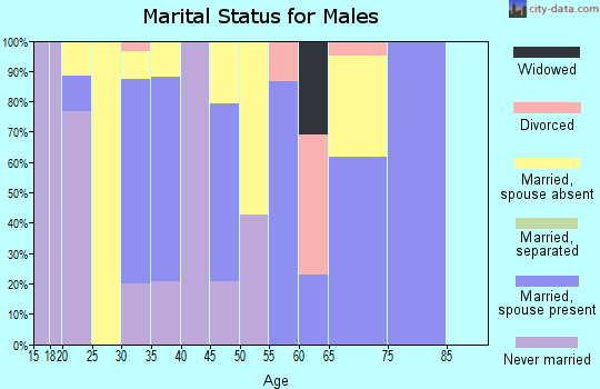 Zip code 83321 marital status for males