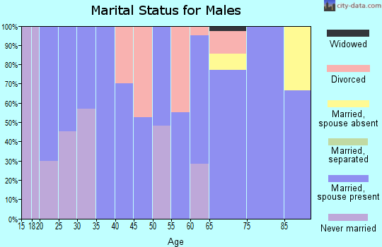 Zip code 83325 marital status for males