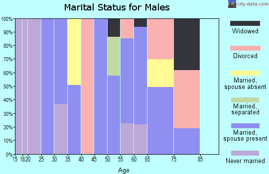 Zip code 83327 marital status for males