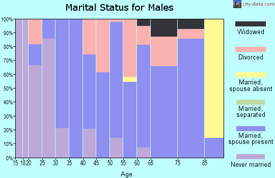 Zip code 83332 marital status for males