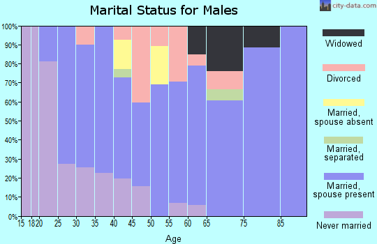 Zip code 83334 marital status for males