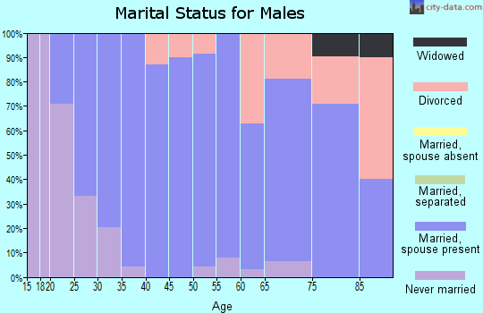 Zip code 83335 marital status for males
