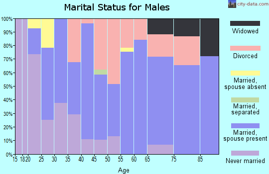 Zip code 83336 marital status for males