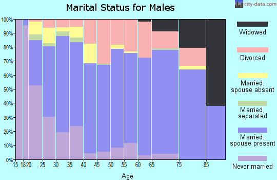 Zip code 83338 marital status for males