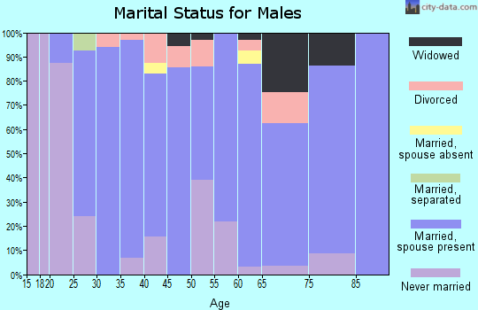 Zip code 83341 marital status for males