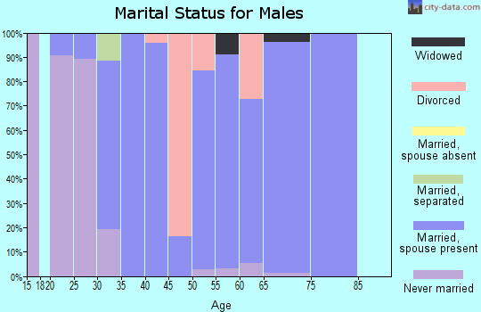 Zip code 83346 marital status for males