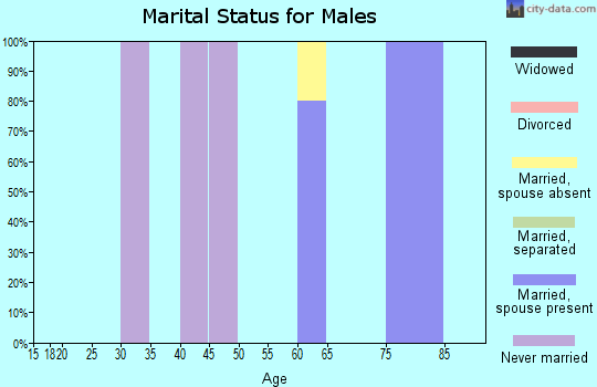 Zip code 83348 marital status for males