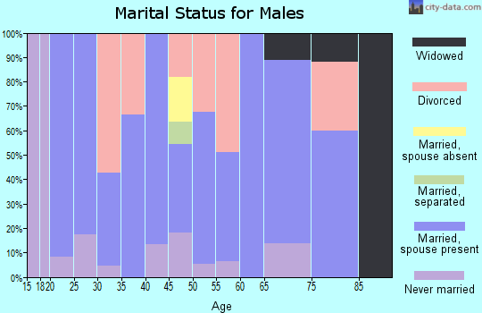 Zip code 83349 marital status for males