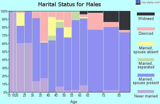 Zip code 83350 marital status for males