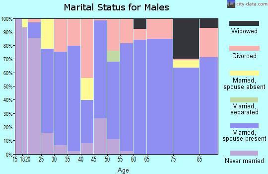 Zip code 83352 marital status for males