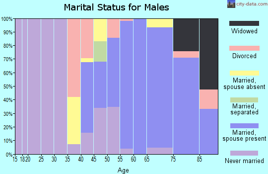 Zip code 83353 marital status for males