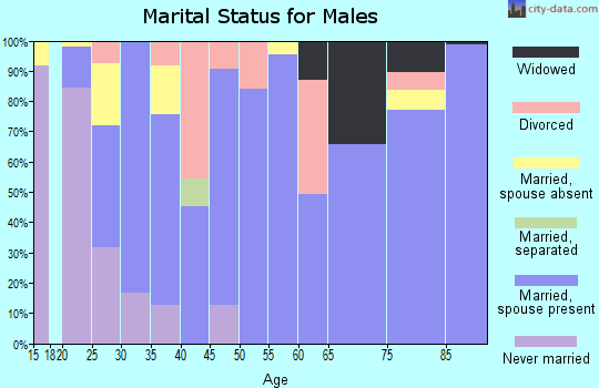 Zip code 83355 marital status for males