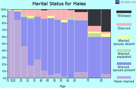 Zip code 83401 marital status for males