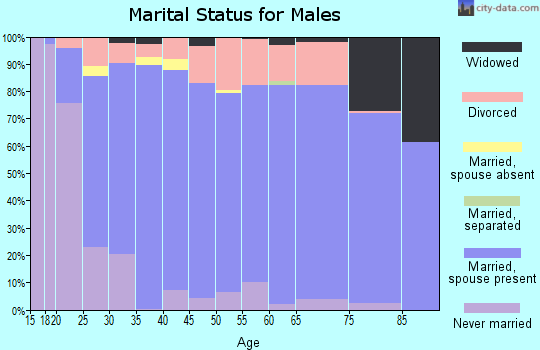 Zip code 83404 marital status for males