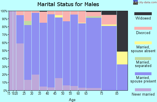 Zip code 83406 marital status for males