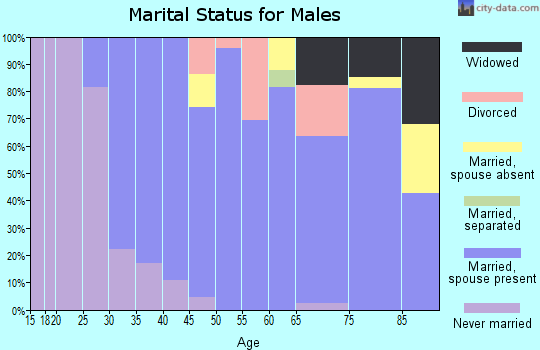 Zip code 83420 marital status for males