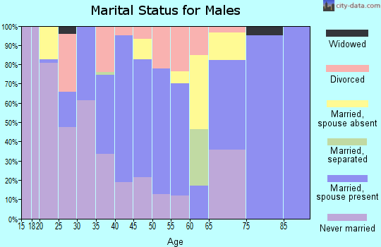 Zip code 83422 marital status for males