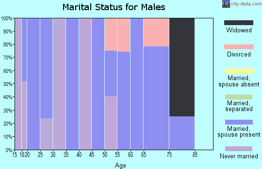 Zip code 83423 marital status for males