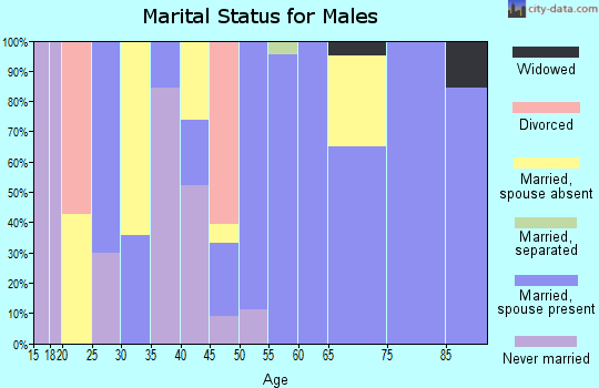 Zip code 83425 marital status for males