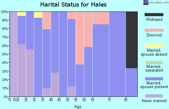 Zip code 83427 marital status for males