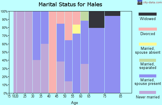 Zip code 83428 marital status for males