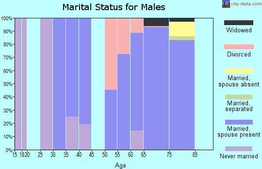Zip code 83429 marital status for males