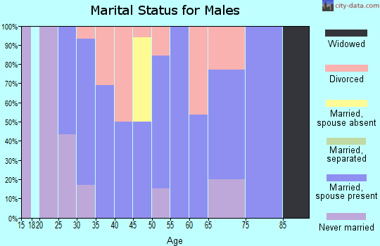 Zip code 83431 marital status for males