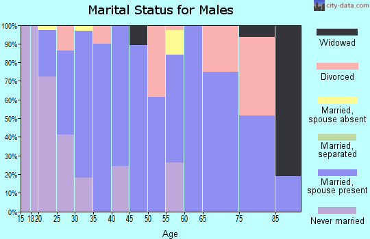 Zip code 83434 marital status for males