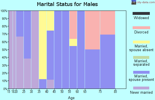 Zip code 83435 marital status for males