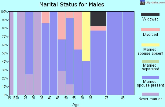 Zip code 83443 marital status for males