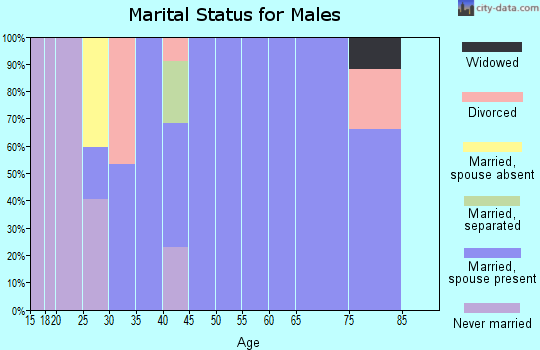 Zip code 83452 marital status for males