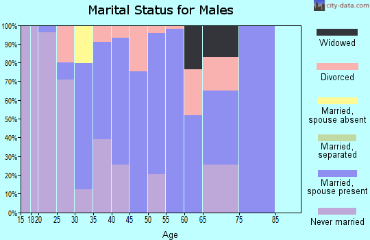 Zip code 83455 marital status for males