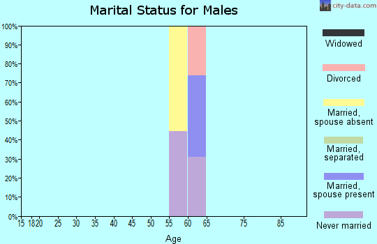 Zip code 83463 marital status for males