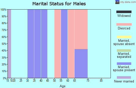 Zip code 83466 marital status for males