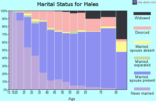 Zip code 83501 marital status for males
