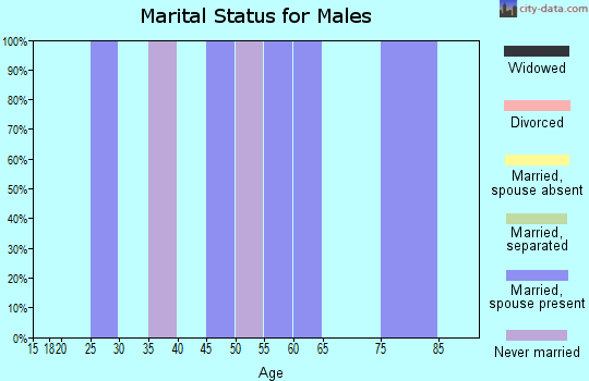 Zip code 83533 marital status for males