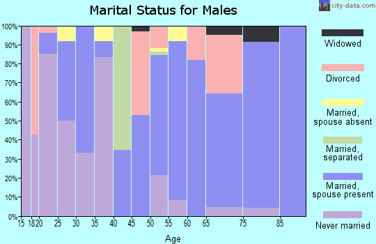 Zip code 83543 marital status for males