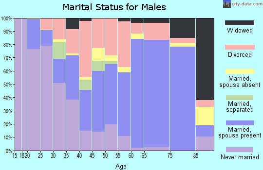 Zip code 83544 marital status for males