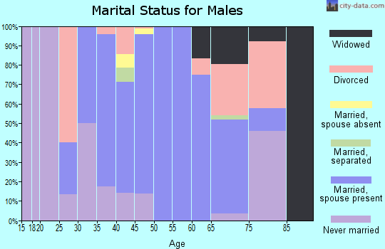 Zip code 83546 marital status for males