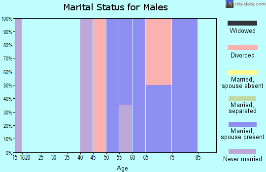 Zip code 83547 marital status for males