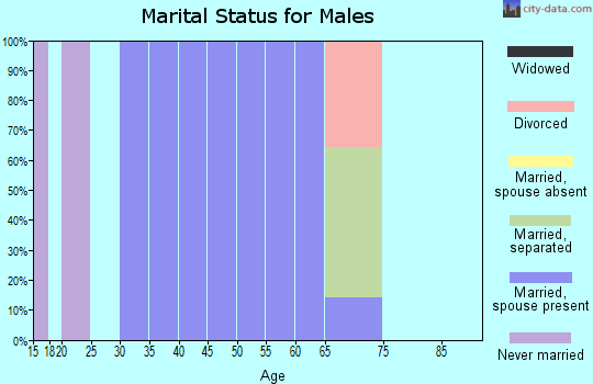 Zip code 83548 marital status for males