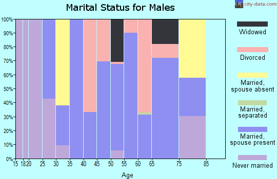Zip code 83552 marital status for males