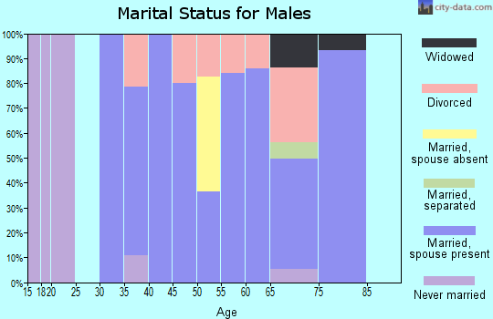 Zip code 83553 marital status for males