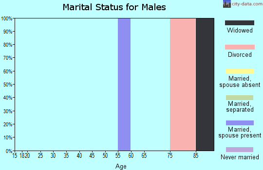 Zip code 83601 marital status for males
