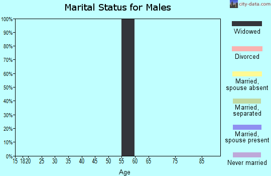 Zip code 83602 marital status for males