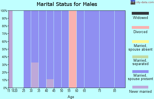 Zip code 83604 marital status for males