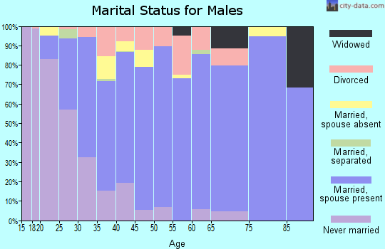 Zip code 83607 marital status for males