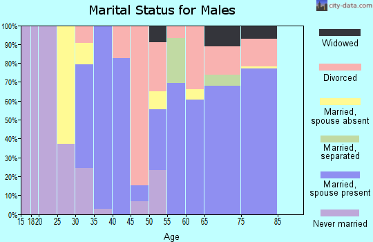 Zip code 83611 marital status for males