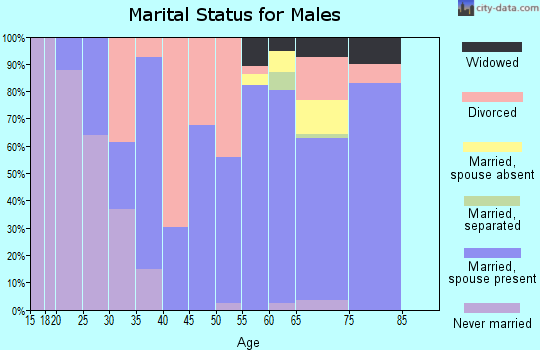 Zip code 83612 marital status for males
